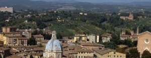 Siena6