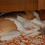 urlaub20
