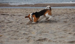 urlaub35