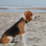 urlaub38